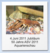 4.Juni 2011 Jubiläum  50 Jahre ASV 2011 Aquarienschau