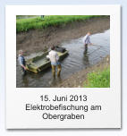 15. Juni 2013  Elektrobefischung am Obergraben