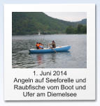 1. Juni 2014  Angeln auf Seeforelle und Raubfische vom Boot und Ufer am Diemelsee